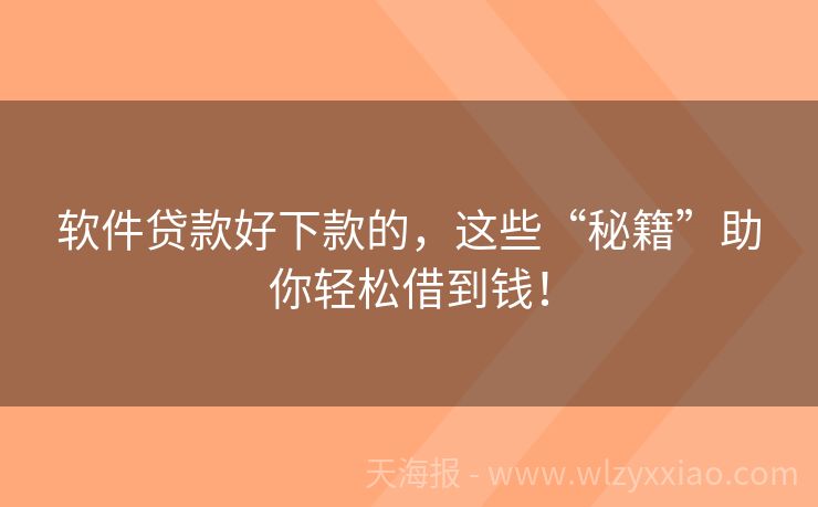 软件贷款好下款的，这些“秘籍”助你轻松借到钱！