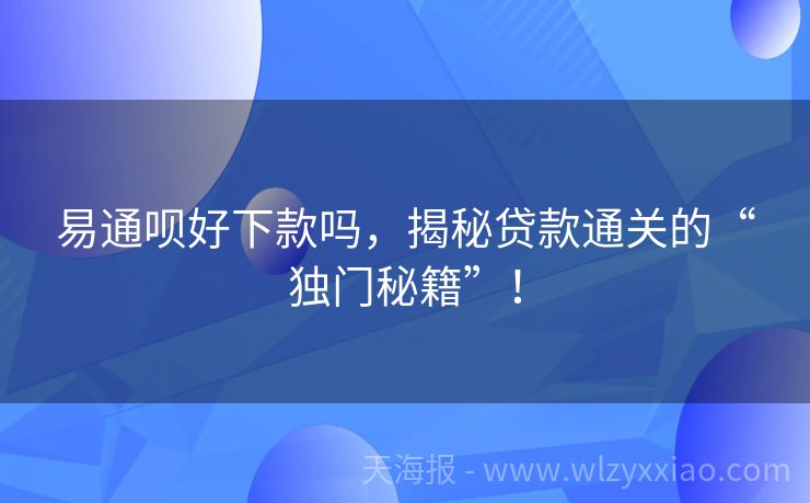 易通呗好下款吗，揭秘贷款通关的“独门秘籍”！