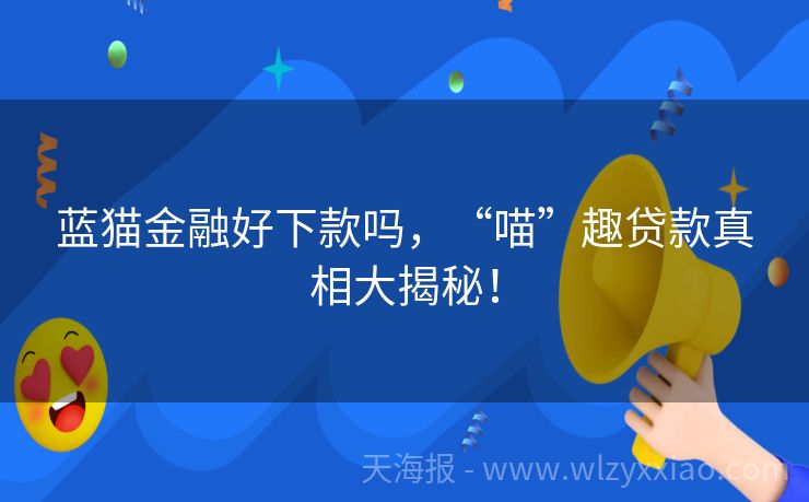蓝猫金融好下款吗，“喵”趣贷款真相大揭秘！