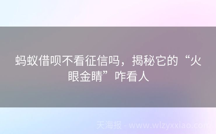 蚂蚁借呗不看征信吗，揭秘它的“火眼金睛”咋看人