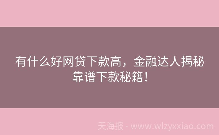 有什么好网贷下款高，金融达人揭秘靠谱下款秘籍！
