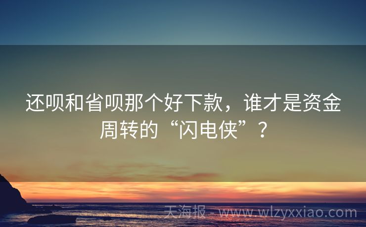 还呗和省呗那个好下款，谁才是资金周转的“闪电侠”？