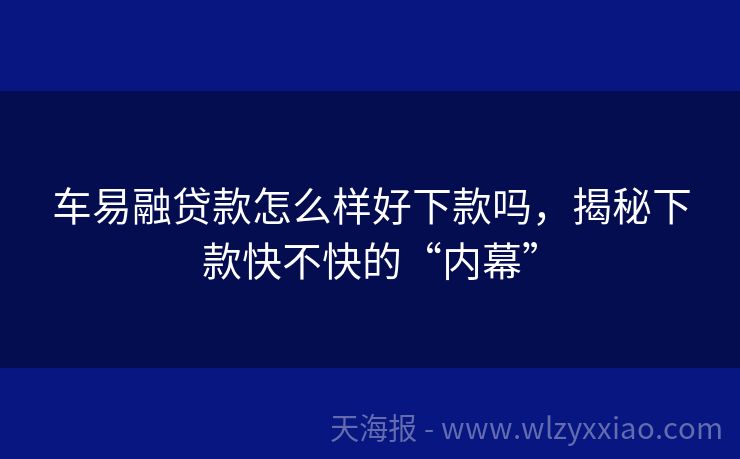 车易融贷款怎么样好下款吗，揭秘下款快不快的“内幕”