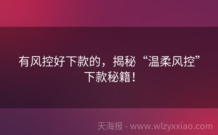 有风控好下款的，揭秘“温柔风控”下款秘籍！