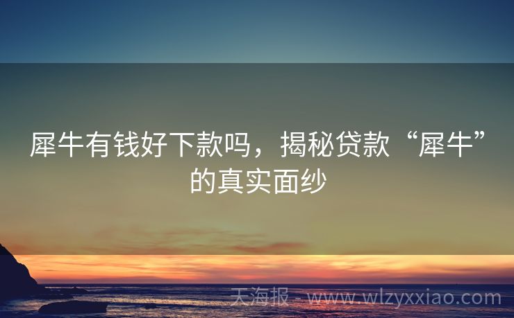 犀牛有钱好下款吗，揭秘贷款“犀牛”的真实面纱