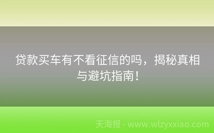 贷款买车有不看征信的吗，揭秘真相与避坑指南！