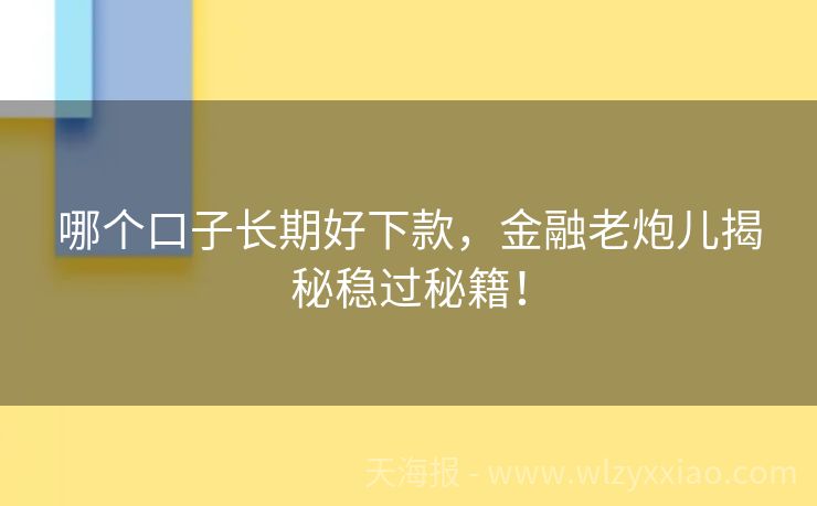 哪个口子长期好下款，金融老炮儿揭秘稳过秘籍！