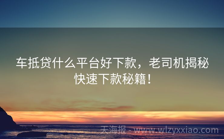 车抵贷什么平台好下款，老司机揭秘快速下款秘籍！