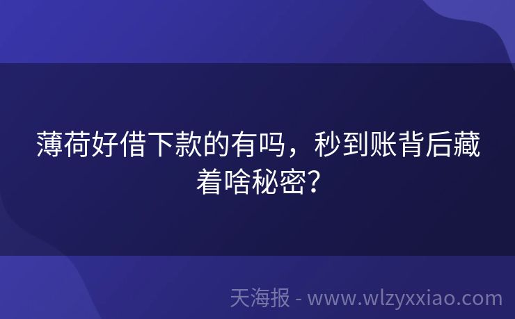 薄荷好借下款的有吗，秒到账背后藏着啥秘密？