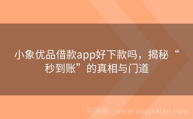 小象优品借款app好下款吗，揭秘“秒到账”的真相与门道