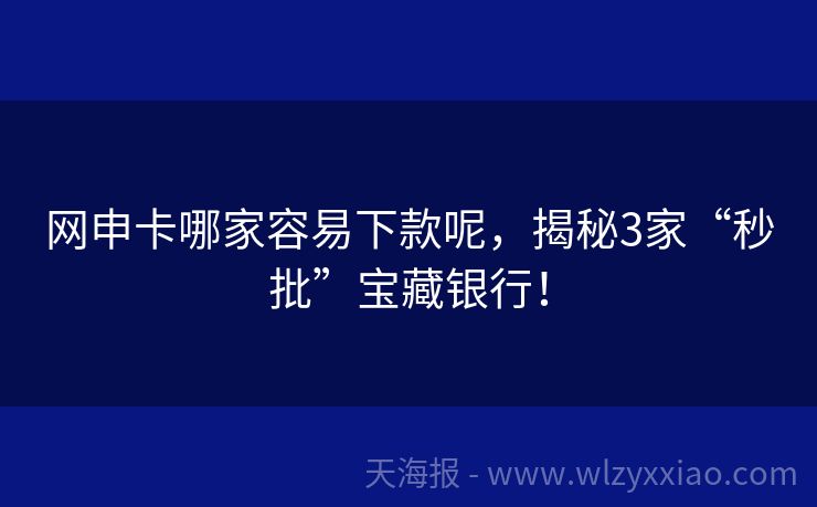 网申卡哪家容易下款呢，揭秘3家“秒批”宝藏银行！