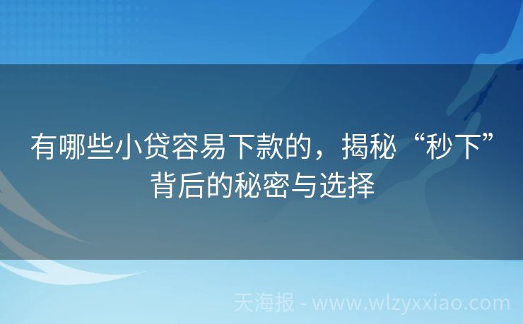 有哪些小贷容易下款的，揭秘“秒下”背后的秘密与选择