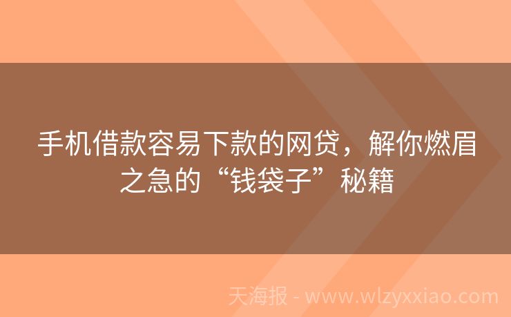手机借款容易下款的网贷，解你燃眉之急的“钱袋子”秘籍