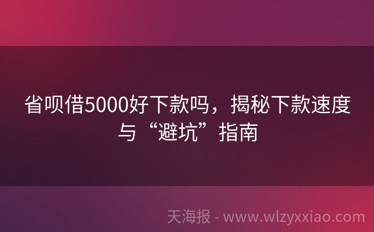 省呗借5000好下款吗，揭秘下款速度与“避坑”指南