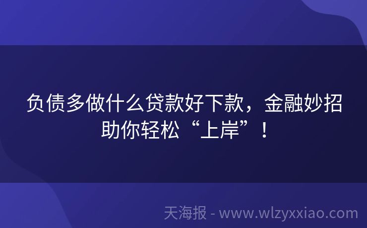 负债多做什么贷款好下款，金融妙招助你轻松“上岸”！