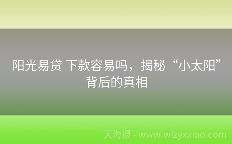 阳光易贷 下款容易吗，揭秘“小太阳”背后的真相