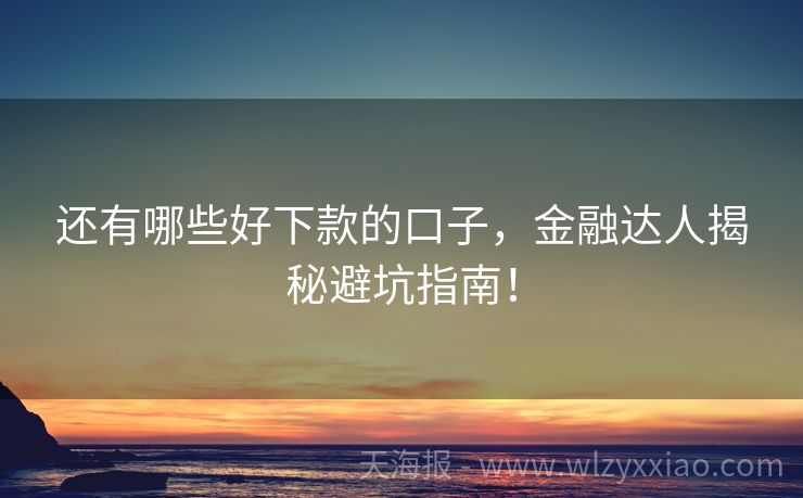 还有哪些好下款的口子，金融达人揭秘避坑指南！