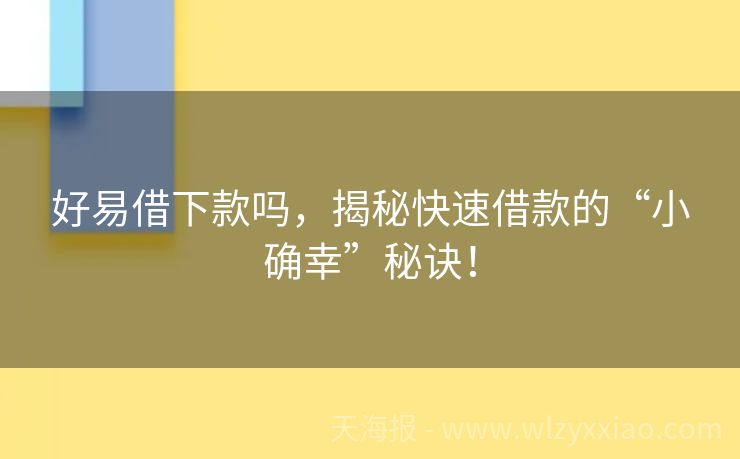 好易借下款吗，揭秘快速借款的“小确幸”秘诀！