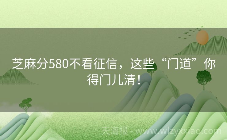 芝麻分580不看征信，这些“门道”你得门儿清！