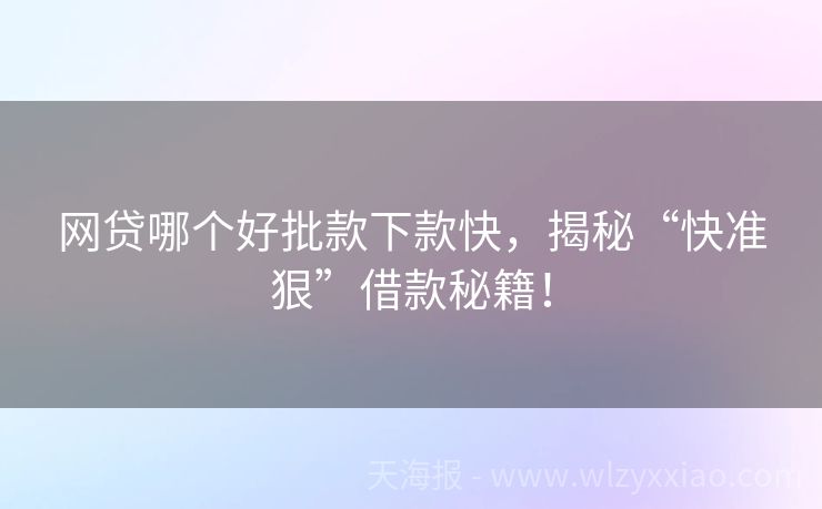 网贷哪个好批款下款快，揭秘“快准狠”借款秘籍！