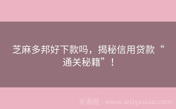 芝麻多邦好下款吗，揭秘信用贷款“通关秘籍”！