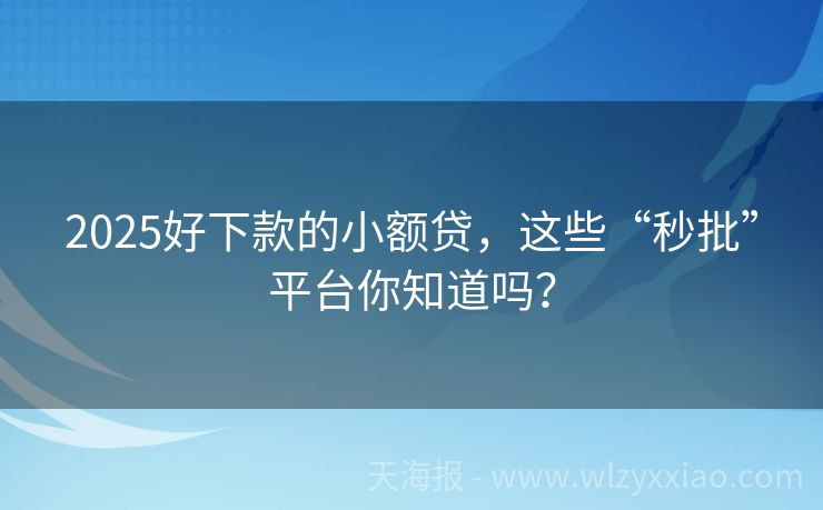 2025好下款的小额贷，这些“秒批”平台你知道吗？
