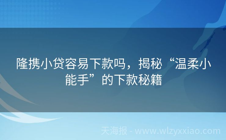 隆携小贷容易下款吗，揭秘“温柔小能手”的下款秘籍