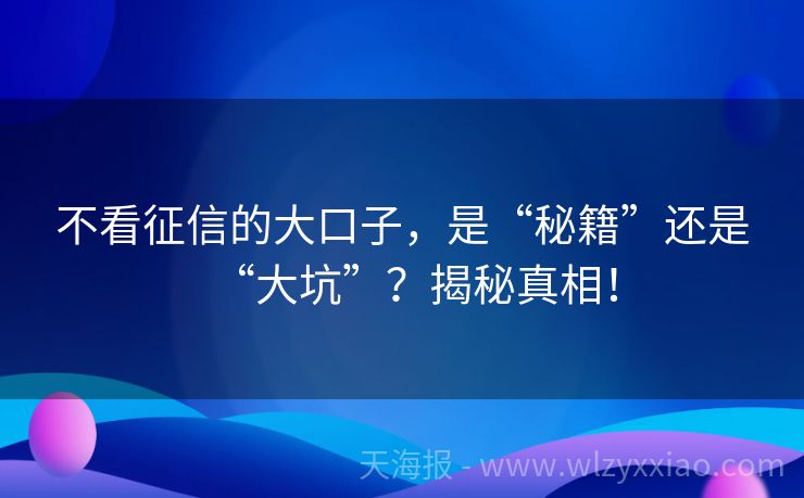 不看征信的大口子，是“秘籍”还是“大坑”？揭秘真相！