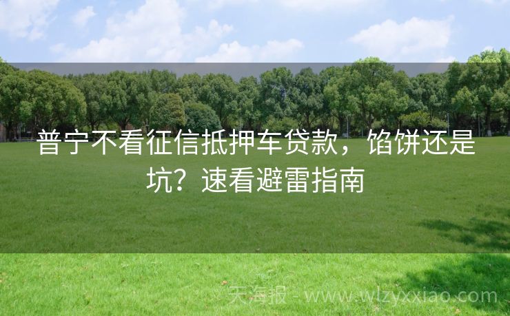 普宁不看征信抵押车贷款，馅饼还是坑？速看避雷指南