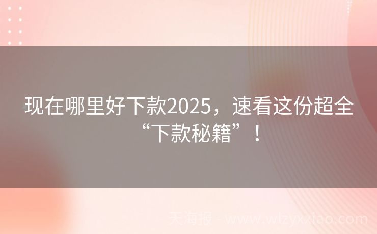 现在哪里好下款2025，速看这份超全“下款秘籍”！