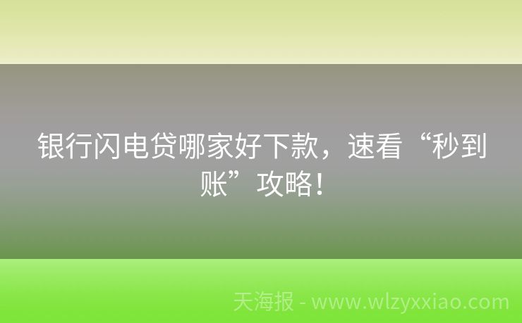银行闪电贷哪家好下款，速看“秒到账”攻略！