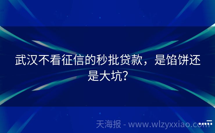 武汉不看征信的秒批贷款，是馅饼还是大坑？