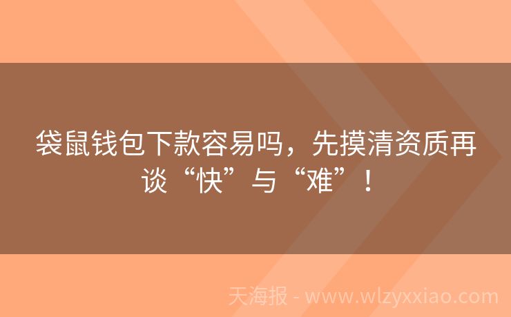 袋鼠钱包下款容易吗，先摸清资质再谈“快”与“难”！