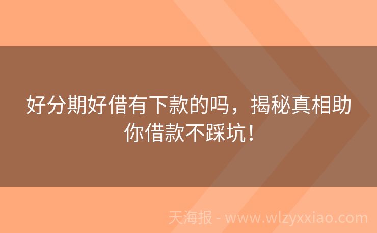 好分期好借有下款的吗，揭秘真相助你借款不踩坑！