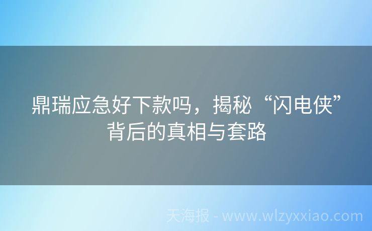 鼎瑞应急好下款吗，揭秘“闪电侠”背后的真相与套路