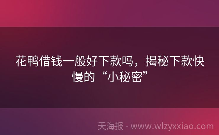 花鸭借钱一般好下款吗，揭秘下款快慢的“小秘密”