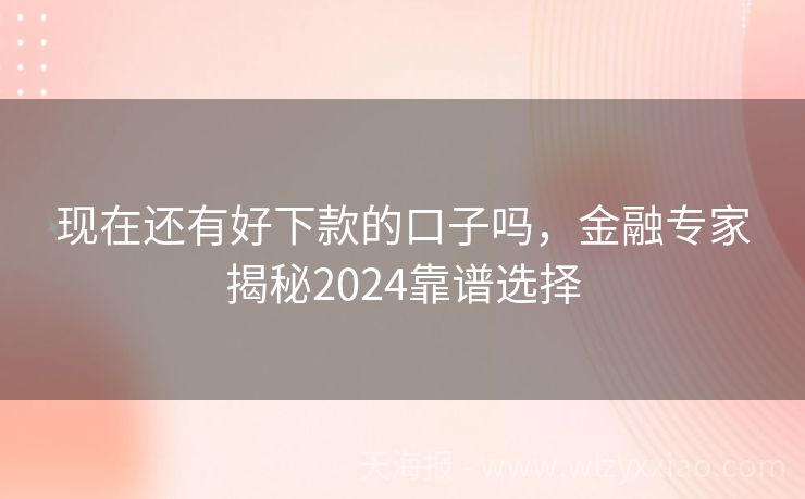 现在还有好下款的口子吗，金融专家揭秘2024靠谱选择