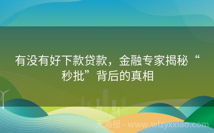 有没有好下款贷款，金融专家揭秘“秒批”背后的真相