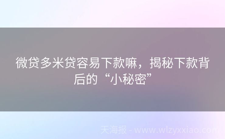 微贷多米贷容易下款嘛，揭秘下款背后的“小秘密”