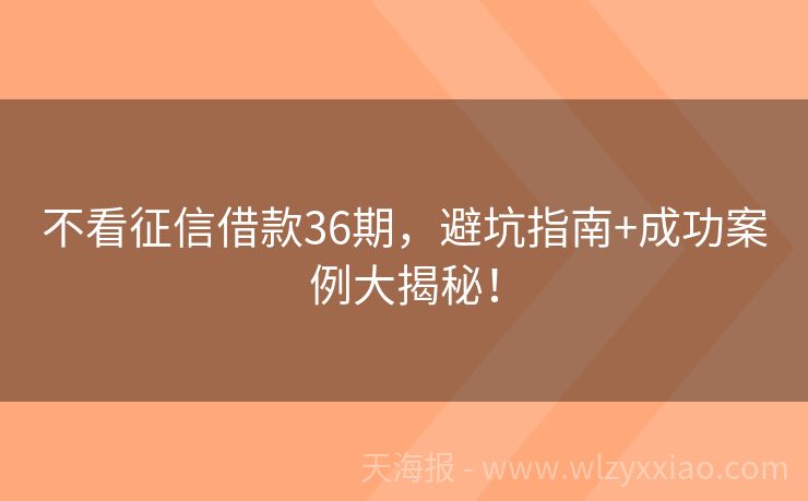 不看征信借款36期，避坑指南+成功案例大揭秘！
