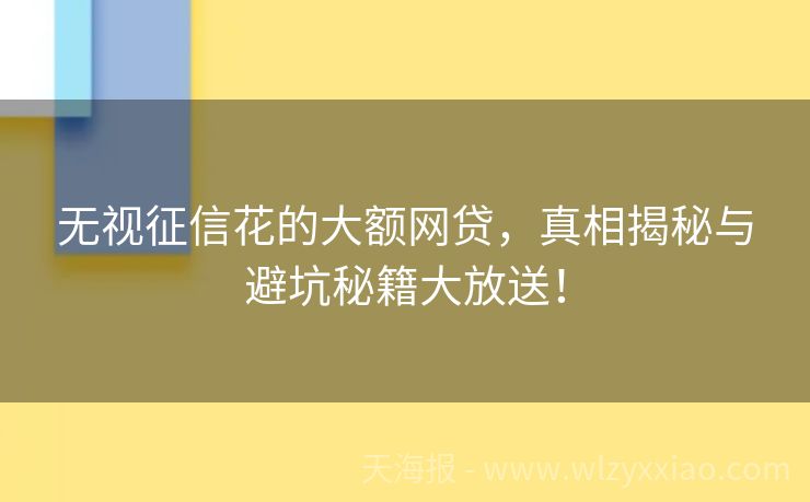 无视征信花的大额网贷，真相揭秘与避坑秘籍大放送！