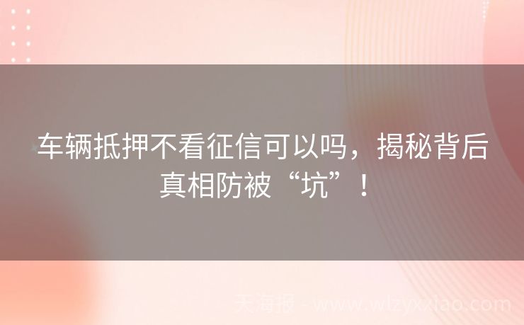车辆抵押不看征信可以吗，揭秘背后真相防被“坑”！