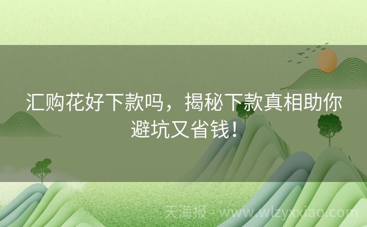 汇购花好下款吗，揭秘下款真相助你避坑又省钱！