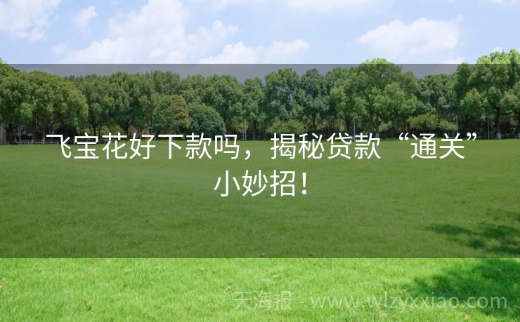 飞宝花好下款吗，揭秘贷款“通关”小妙招！