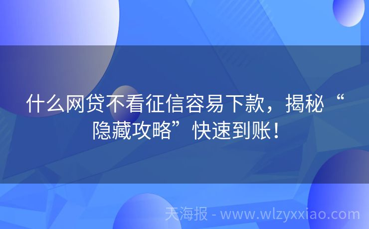 什么网贷不看征信容易下款，揭秘“隐藏攻略”快速到账！