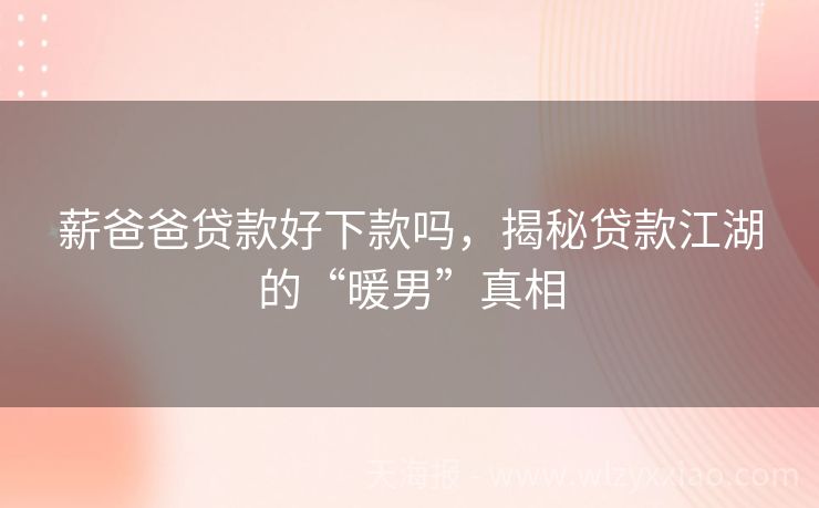 薪爸爸贷款好下款吗，揭秘贷款江湖的“暖男”真相