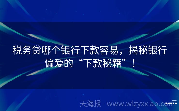 税务贷哪个银行下款容易，揭秘银行偏爱的“下款秘籍”！