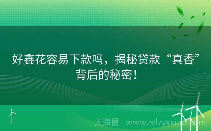 好鑫花容易下款吗，揭秘贷款“真香”背后的秘密！