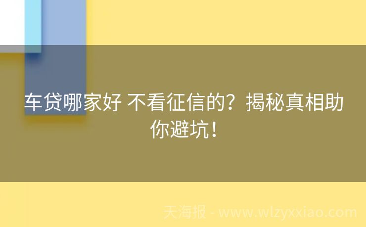 车贷哪家好 不看征信的？揭秘真相助你避坑！