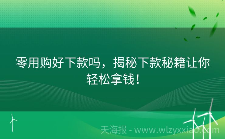 零用购好下款吗，揭秘下款秘籍让你轻松拿钱！